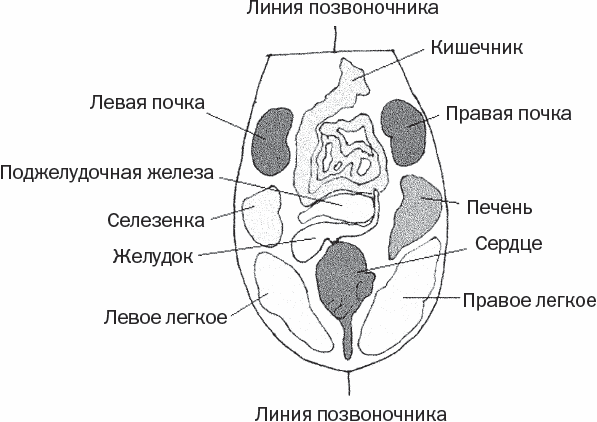 Диагностика по языку в китайской медицине картинки