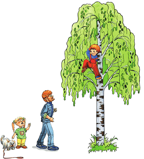 Карабкаться рисунок. Мальчик на Березе. Мальчик на дереве. Мальчик около березы.