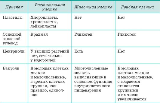 Рассмотрите рисунок 205 на с 250 и охарактеризуйте отличительные черты строения и поведения хищных