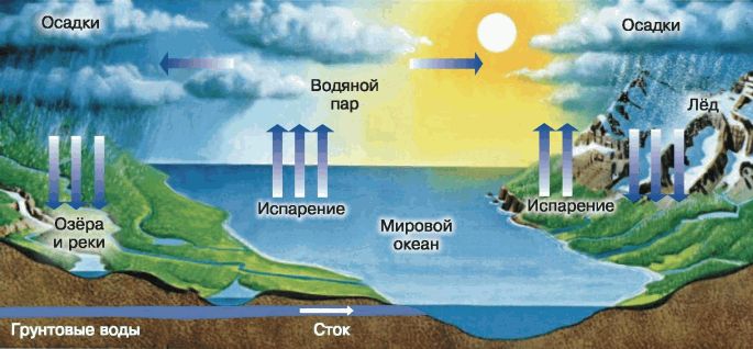 Круговорот воды в природе схема биология