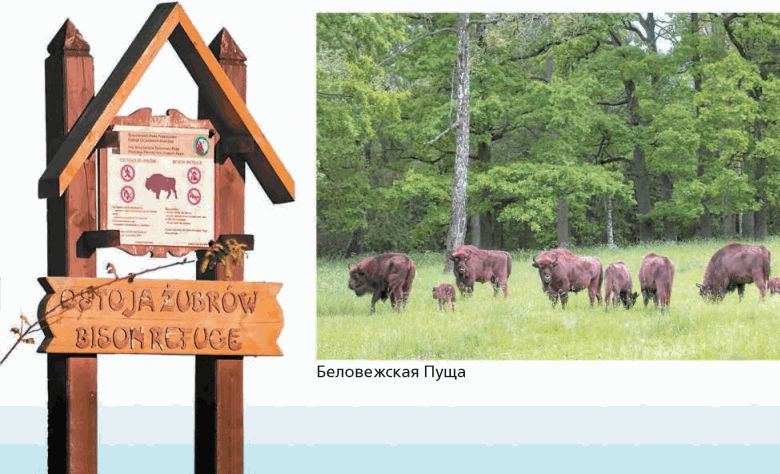 гдз по биологии сонина 7 класс тема покрытосеменные гдз по биологии сонина 7 класс тема покрытосеменные