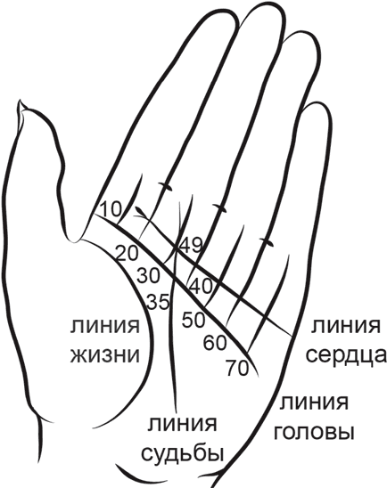 Линии жизни уровень. Хиромантия, Возраст линии жизни хиромантия. Хиромантия линия жизни сколько лет. Возраст на линии жизни. Возраст на линиях ладони.