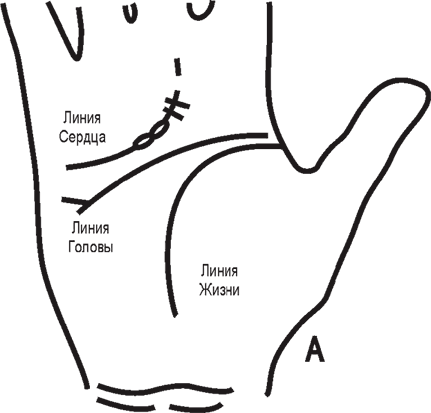 Линия жизни линия ума и линия сердца. Линия жизни. Физическая линия сердца. Две линии сердца. Линия сердца что это.