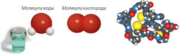 Простые одинаковые атомы. Молекулы сложных веществ. Модели молекул простых и сложных веществ. Модель молекулы сложного вещества. Молекулы простых и сложных веществ.