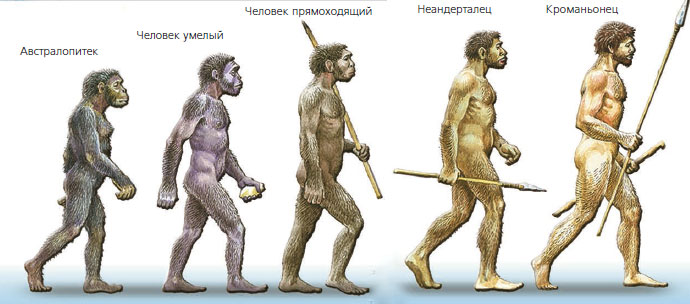 Как нарисовать человека прямоходящего