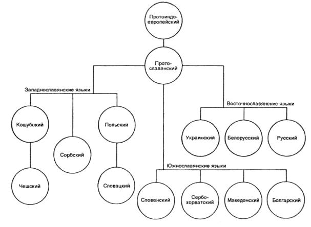 Славянские языки схема