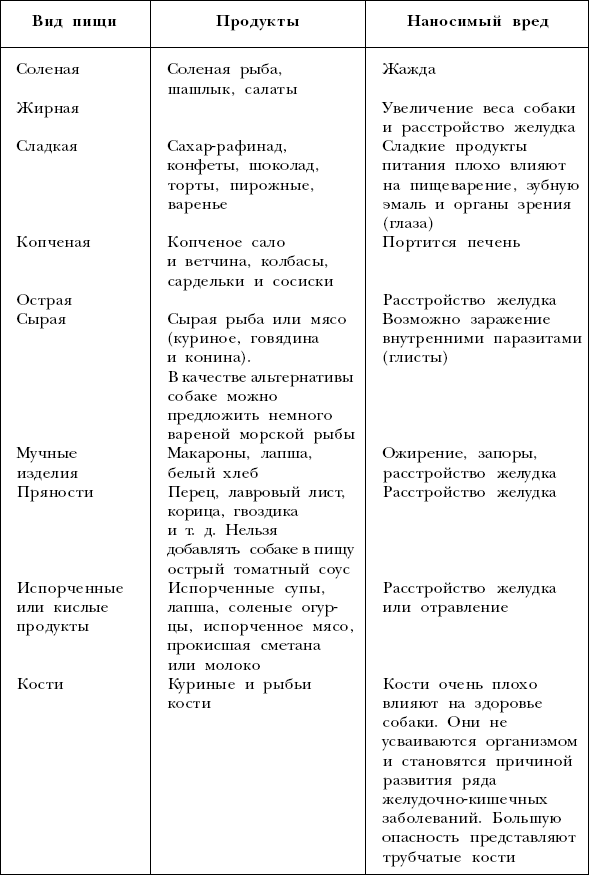 Можно ли кормить спаниеля супом