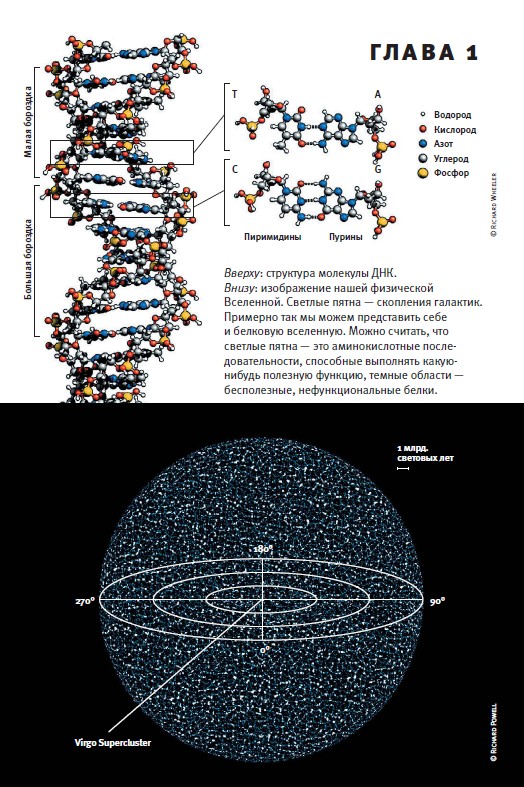 Эволюция книги схема